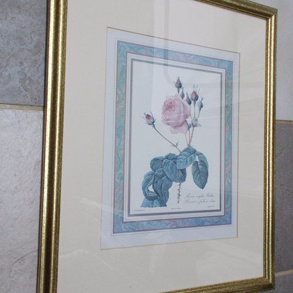 Gorgeous Rose print matted & framed under glass, approximately 17.5"x21.5" - Picture 1 of 3